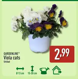 ALDI GARDENLINE Viola cats oferta