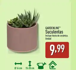 ALDI GARDENLINE Suculentas oferta