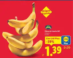 Lidl Plátano de Canarias IGP oferta