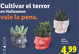 Lidl Catrina Halloween oferta