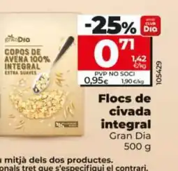 Dia Flocs de civada integral oferta