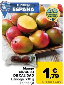 Carrefour CÍRCULO DE CALIDAD Mango oferta