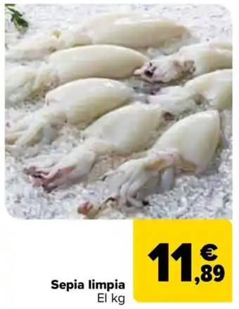 Carrefour Sepia limpia oferta