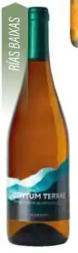 Cash Ifa CENTUM TERRAE Vino blanco D.O.Rías Baixas albariño oferta