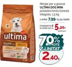 Condis Última - menjar per a gossos oferta