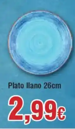 Hiper FROIZ Plato llano oferta