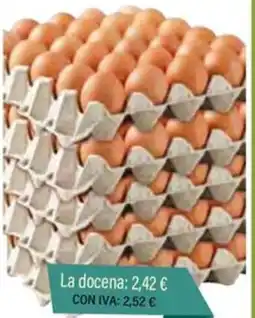 Cash Ifa Huevos clase M caja 15 docenas oferta