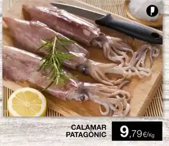 Plusfresc Calamar patagónic oferta