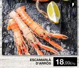 Plusfresc Escamarlá d'arròs oferta