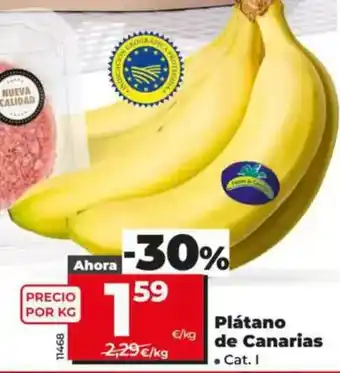 Dia Platano de canarias oferta