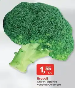 Dia Dia super paco - friegasuelos concentrado loto oferta