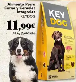 Gadis Alimento perro carne y cereales integrales oferta