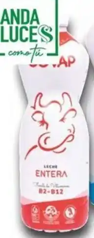 Supermercados MAS COVAP Leche entera oferta