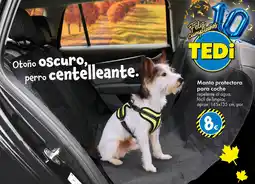 TEDi Manta protectora para coche oferta