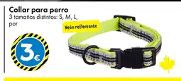 TEDi Collar para perro oferta