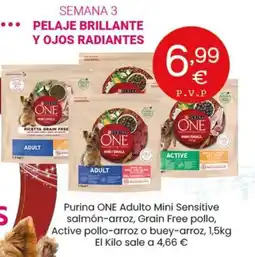 Hiperber PURINA ONE Adulto Mini Sensitive salmón-arroz, Grain Free pollo, Active pollo-arroz o buey-arroz oferta