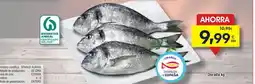FROIZ Dorada oferta