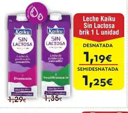 FROIZ Leche Kaiku Sin Lactosa brik oferta