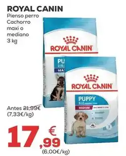 Kiwoko Royal canin - pienso perro cachorro maxi o mediano oferta