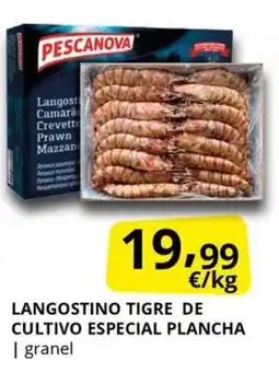 Supermercados MAS PESCANOVA Langostino tigre de cultivo especial plancha oferta