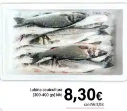 Cash Ifa Lubina acuicultura oferta