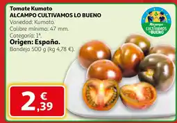 Alcampo Tomate Kumato oferta