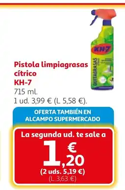 Alcampo KH-7 Pistola limpiagrasas cítrico oferta