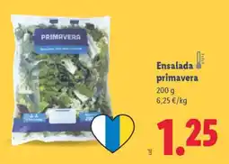 Lidl Ensalada! primavera oferta