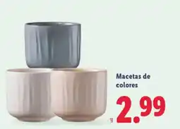Lidl Macetas de colores oferta