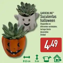 ALDI GARDENLINE Suculentas halloween oferta