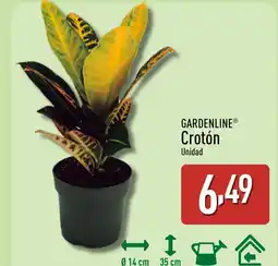 ALDI GARDENLINE Crotón oferta