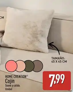 ALDI HOME CREATION Cojín oferta