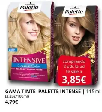 Supermercados MAS PALETTE Gama tinte intense oferta