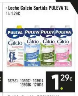 Family Cash PULEVA Leche Calcio Surtida oferta