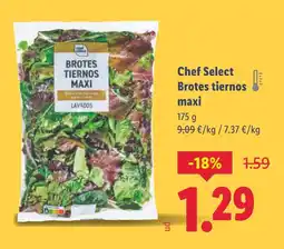 Lidl CHEF SELET Brotes tiernos maxi oferta