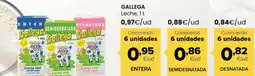 Autoservicios Familia GALLEGA Leche oferta