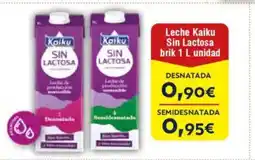 Cash FROIZ Leche Kaiku Sin Lactosa brik oferta