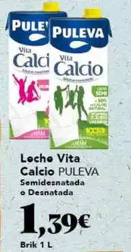 Gadis Puleva - leche vita calcio oferta