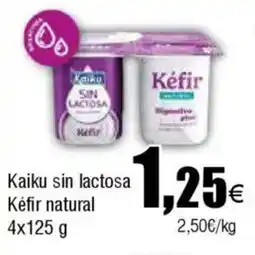Cash FROIZ KAIKU y KEFIR sin lactosa natural oferta
