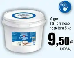Cash FROIZ Yogur TGT cremoso hostelería oferta