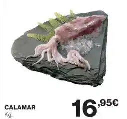 El Corte Inglés Calamar oferta