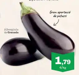 Sorli Albergínia de Granada oferta