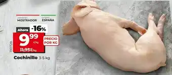 Cochinillo