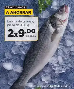 Alimerka Lubina de crianza oferta