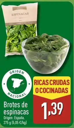 ALDI Brotes de espinacas oferta