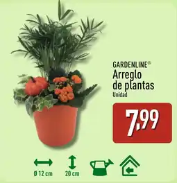 ALDI GARDENLINE Arreglo de plantas oferta