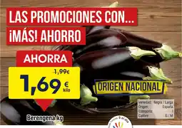 FROIZ Berengena oferta