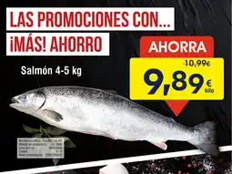 FROIZ Salmón oferta