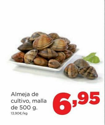 Alimerka Almejas de cultivo oferta