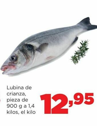 Alimerka Lubina oferta